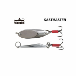 Fishing ROI Kastmaster